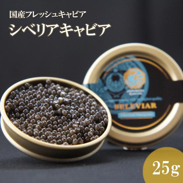 国産キャビア シベリアキャビア25g 島根県産 フレッシュキャビア 珍味 魚卵 チョウザメ 無添加 冷凍 高級 お取り寄せ 誕生日 お中元 お歳暮 父の日 セレビア
