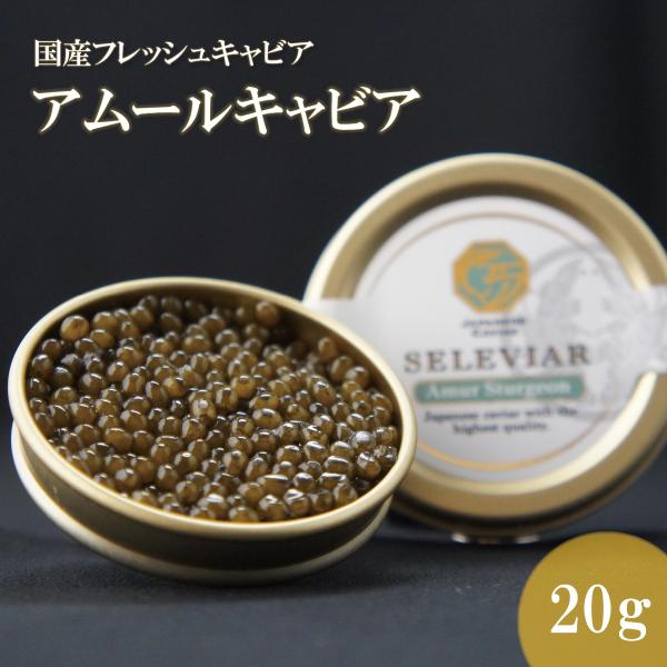 国産キャビア アムールキャビア20g 島根県産 フレッシュキャビア 珍味 魚卵 チョウザメ 無添加 冷凍 高級 お取り寄せ 誕生日 お中元 お歳暮 父の日 セレビア