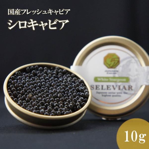 国産キャビア シロキャビア10g 島根県産 フレッシュ 珍味 おつまみ 魚卵 魚 チョウザメ 無添加 冷凍 高級 お取り寄せ お中元 お歳暮 島根 邑南町 セレビア