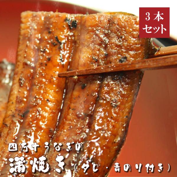 四万十うなぎ蒲焼き3本セット（タレ・四万十の青のり付き）高知県四万十から産地直送