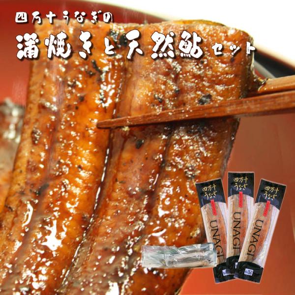 四万十うなぎ蒲焼き3本（タレ付き）と天然鮎2匹セット　高知県四万十から産地直送