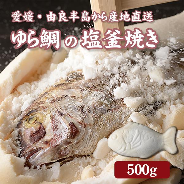 ゆら鯛の塩釜焼き（500g）愛媛県南宇和郡の由良半島から産地直送でお届け 送料無料 タイ たい 真鯛 めで鯛 産直 お祝い 祝い事 お中元 お歳暮 入学 卒業 還暦