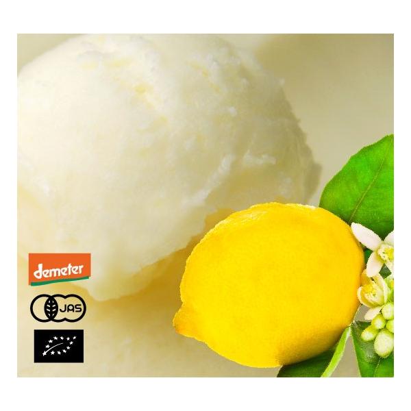 L@JASF C^AWF[g \x P[iI[KjbNWF[gEACXjf^[F C^AY[125ml]yⓀցz