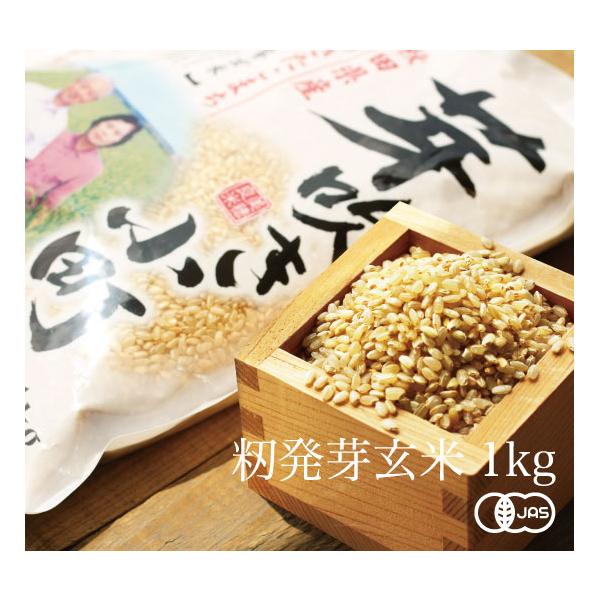 ll3܂܂Łyߘa7NYVāzL@JASF ܂ 萁i茺āj_[1kg] Hc劃Ys퉷t