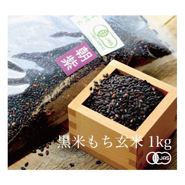 ll2܂܂Łyߘa7NYVāzL@JASF ÑĒ Ă _[1000g] Hc劃Ys퉷t