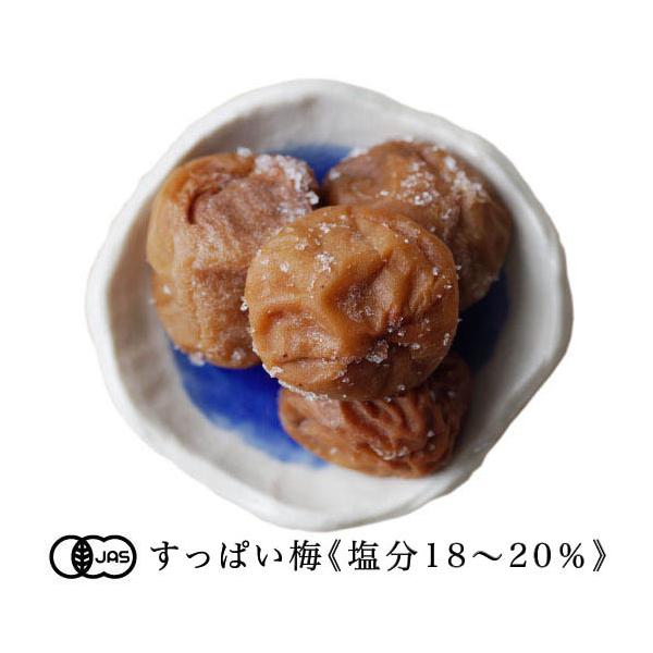 L@JASFؔ~ ς~ [~XiI[KjbN߂ڂja̎RY[100g]s퉷ցt