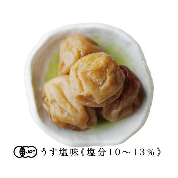 L@JASFؔ~  [~XiI[KjbN߂ڂja̎RY[100g]s퉷ցt