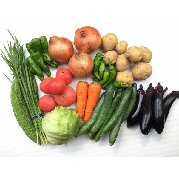 生命の農法化学農薬、化学肥料を一切使用せずに栽培した、旬のお野菜セット！3~4人用、お野菜大好き大セット約10〜12品※写真はイメージのため、季節によってお送りするお野菜は異なります。（写真の内容は8月の内容です）その時折の旬のものを詰めさ...