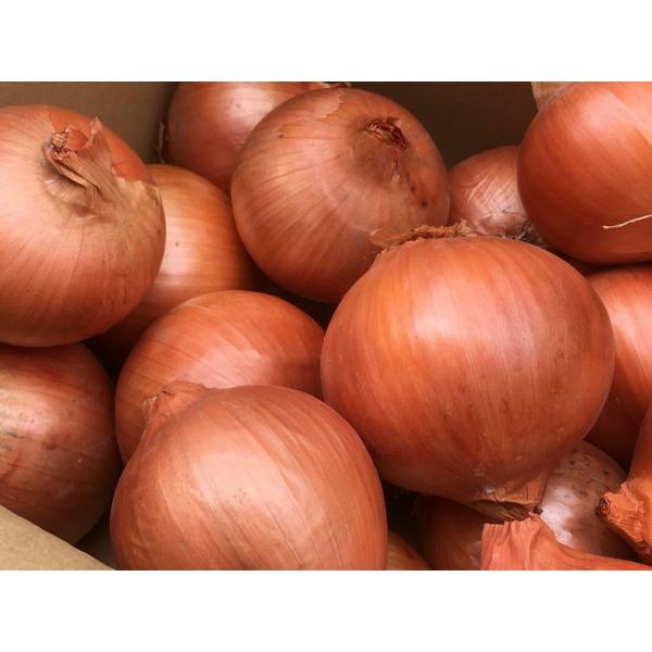 生命の農法化学農薬、化学肥料を一切使用せずに栽培した、玉ねぎです！3kg