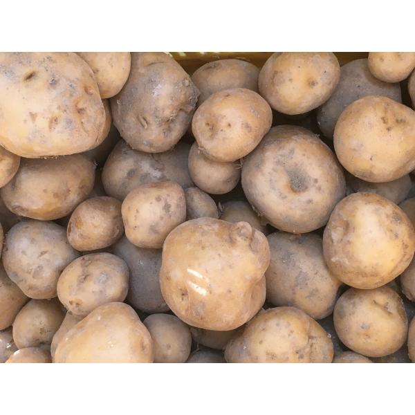 無農薬 じゃがいも 3kg 送料無料！ : Bio jiko - 通販 - Yahoo