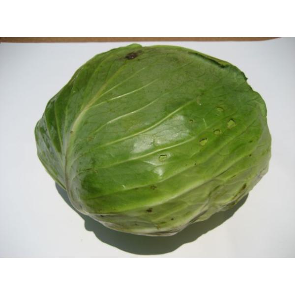 化学農薬や化学肥料は一切使っておりません。