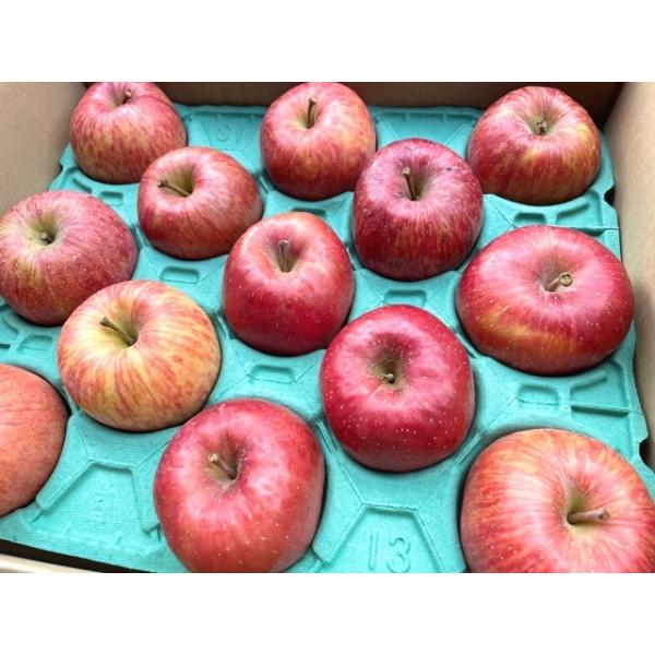 岩手県盛岡市で、40数年前から化学合成農薬や化学肥料を一切使わずに、無農薬で栽培されているりんごです。農地周辺の雑草や、広葉樹の落ち葉、豆がら、米糠などの有機肥料を主体とし、微生物の力を借りて生態系や水環境などを大事にして栽培されております...