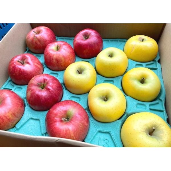 岩手県盛岡市で、40数年前から化学合成農薬や化学肥料を一切使わずに、無農薬で栽培されているりんごです。農地周辺の雑草や、広葉樹の落ち葉、豆がら、米糠などの有機肥料を主体とし、微生物の力を借りて生態系や水環境などを大事にして栽培されております...