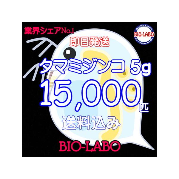 生きた状態での発送になります。営業日で有れば集荷に間に合えば即日発送致します。1ｇを約３０００匹と考えて表記していますのでご了承お願い致します。屋内専用ルームでの培養となりますので他の微生物の混入は殆どありませんのでご安心ください。全国の養...