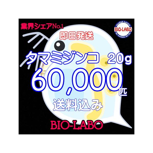 生きた状態での発送になります。営業日で有れば集荷に間に合えば即日発送致します。1ｇを約３０００匹と考えて表記していますのでご了承お願い致します。屋内専用ルームでの培養となりますので他の微生物の混入は殆どありませんのでご安心ください。全国の養...