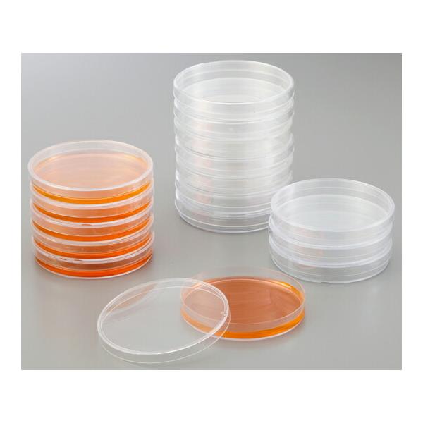 o  `yŋۃV[@`lr-OP@TOO