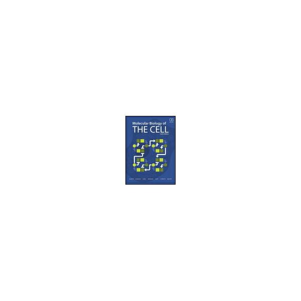 （出版社）Garland Molecular Biology of the Cell 1冊 978-0-8153-4464-3