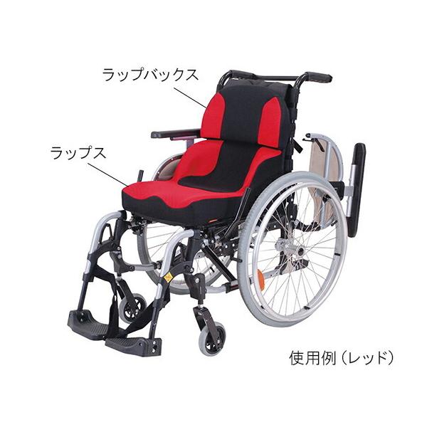 ���b�v�X+���b�v�o�b�N�X�Z�b�g�i�Ԉ֎q�N�b�V�����j�@TC-LS11 ���b�h