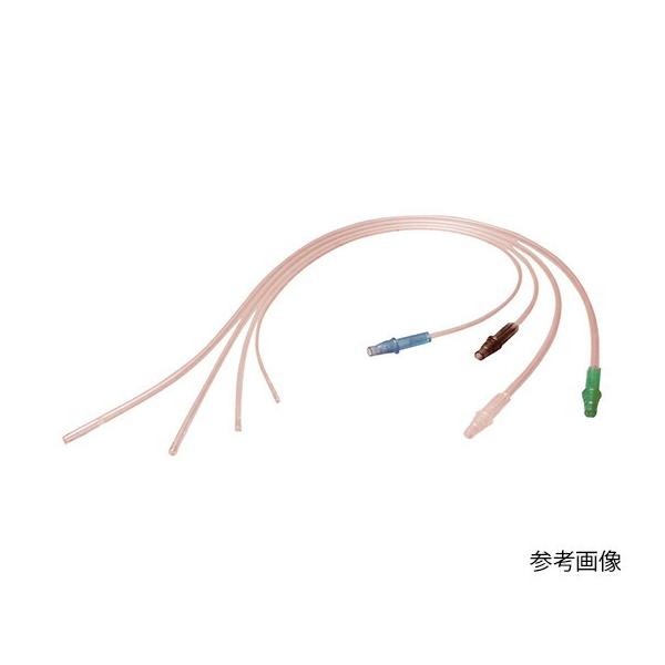 �g�b�v �g�b�v�z���J�e�[�e���@�N���A�T�N�V�����@8Fr�@50�{��  14441