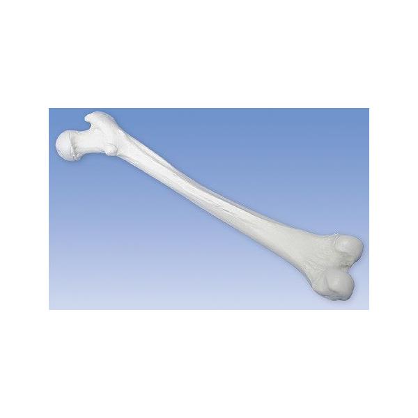 3B  l̖͌^ @ڍ͌^@A35/1 ڍf I  ͌^