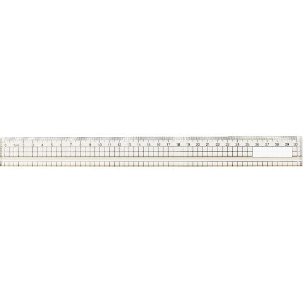 ANK 30cm(at) ށEpEA[g