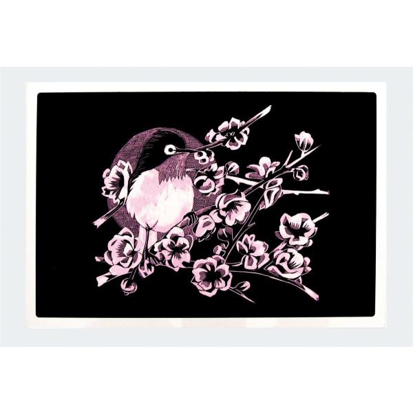 t@V[XNb`{[h RED XNb`