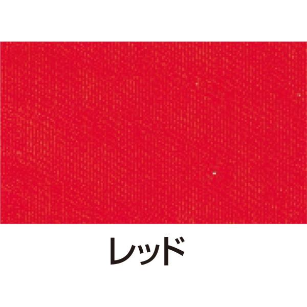 VNXN[pCL 100ccbh VNXN[