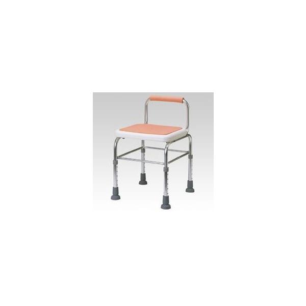 Nk Ώېi iÊ A~V[`FA CP^Cv @