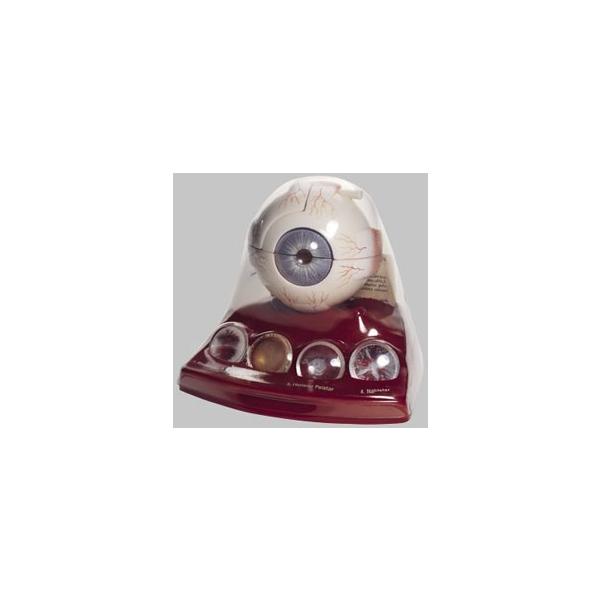 Nkt \\ ͌^ cs22 I  ͌^