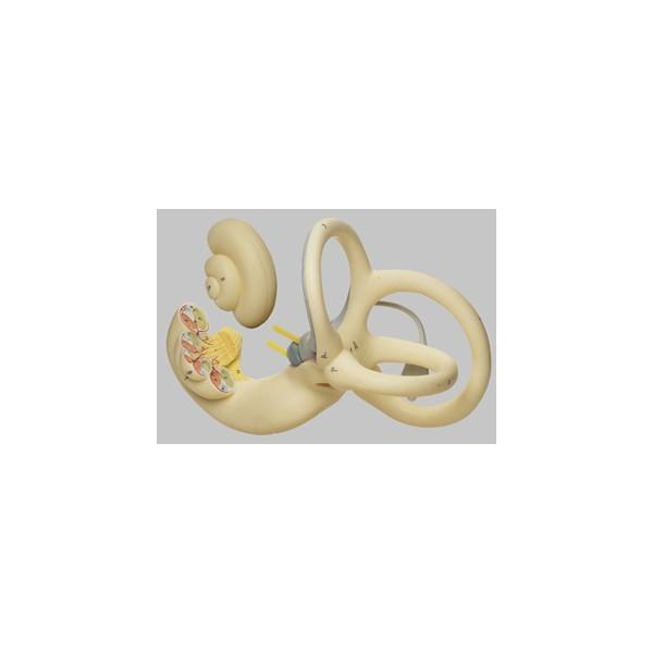 Nkt \\ iHj͌^ ds13 I  ͌^