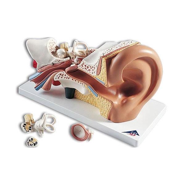 Nk Ώېi 3B  l̖͌^ @to͌^i͌^j to3{E4fW^ (e10) @ I  ͌^