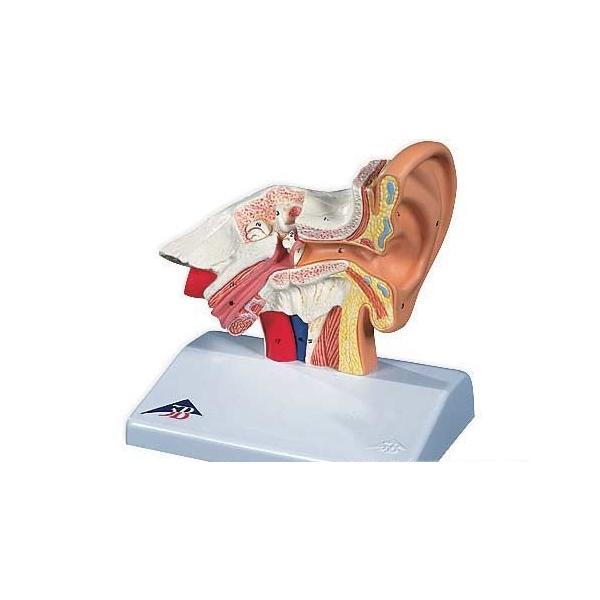 3B  l̖͌^ @to͌^i͌^j to1.5{僂f (e12) I  ͌^