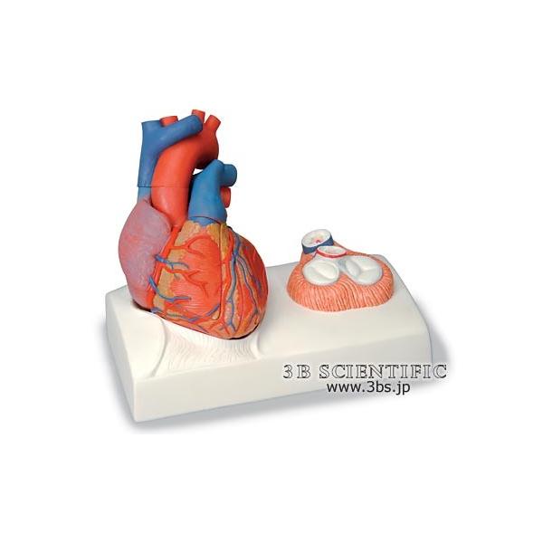 Nk Ώېi E 3BTCGtBeBbNЖ͌^@SASك[ttA5f  fsp2124-6m  I  ͌^