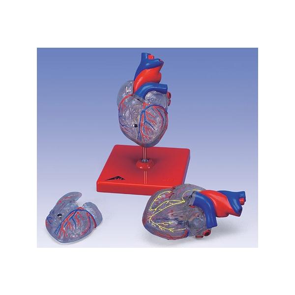 Nkt 3B  l̖͌^ @S͌^@S^E2fh`nt (g08-3j @ I  ͌^