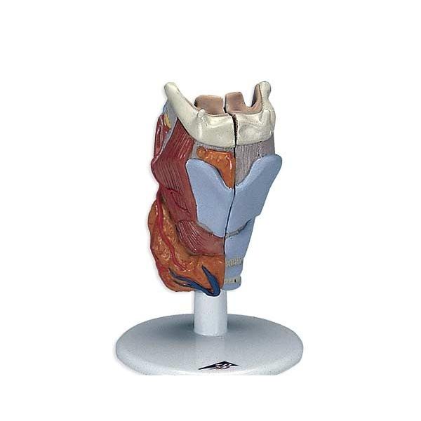 3B  l̖͌^ @A͌^@A2f (g22) @ I  ͌^