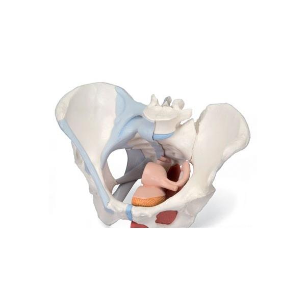 Nk Ώېi 3B  l̖͌^ @BEՖ͌^@ՓEՒؕt4f@ih20-3) @ I  ͌^