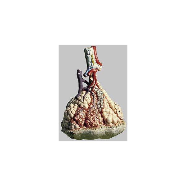 \\ xt͌^ hs23/1 I  ͌^