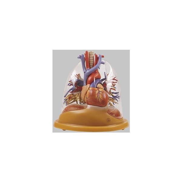 \\ SƔx̖͌^ hs8/2 I  ͌^