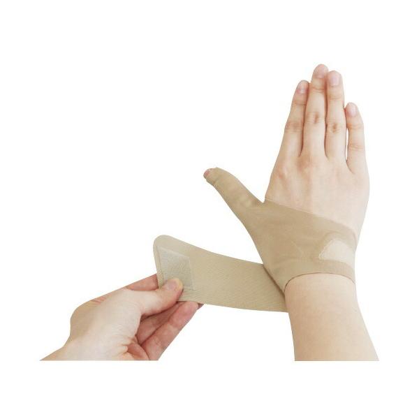 X[i[ FیT|[^[ ews^ 1010  KiFEES Kṕ͈ijF12.5`16