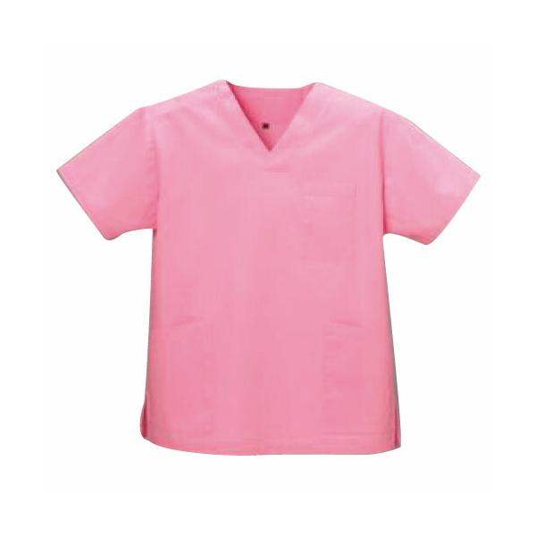 �X�N���u�i�j�����p�j   DS-2001 �t�����`�s���N �T�C�Y�F3L