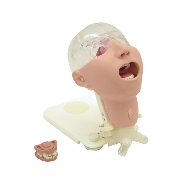 sȊw oPAf AhoXh  11408-000