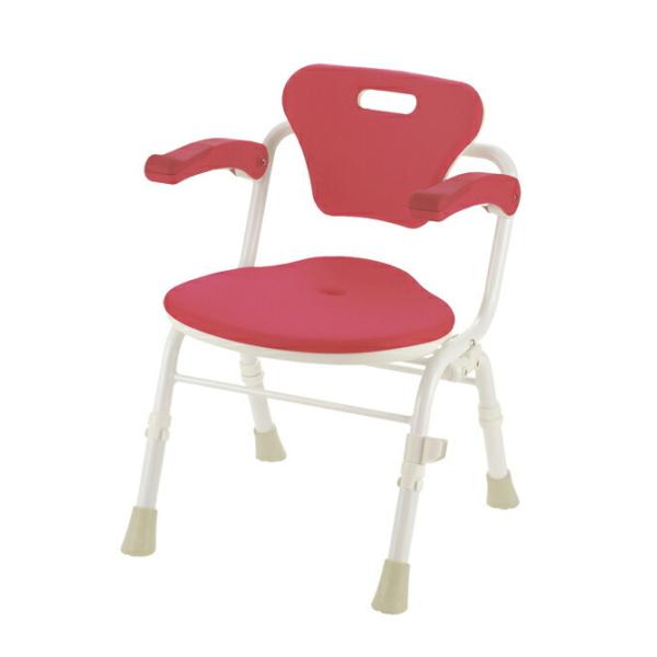 b`F 炩V[`FANI܂SUO 19193(qWJPcL)sN