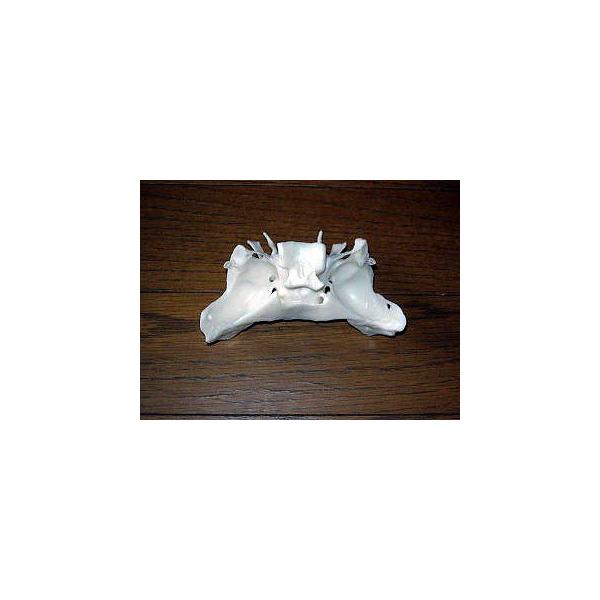 \\Ё@`͌^ qs8_2_10 I  ͌^