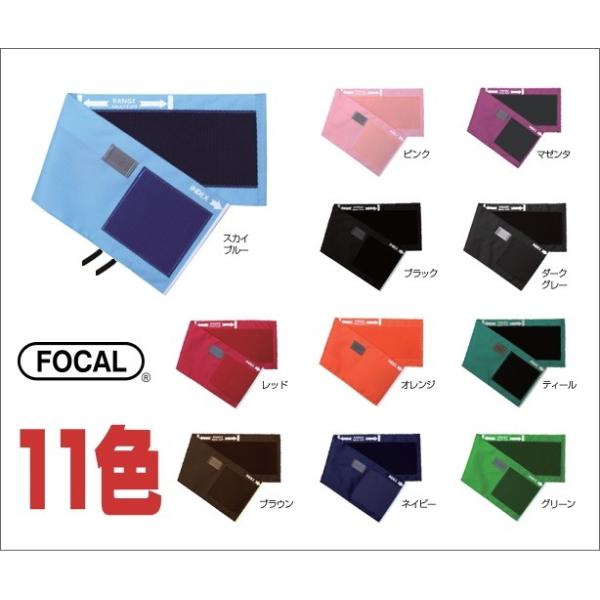 Iׂ11F@FOCAL(tH[Jj@vp@iCJt