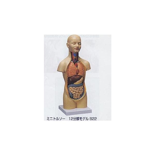 ~jg\[@12f@B22 I  ͌^