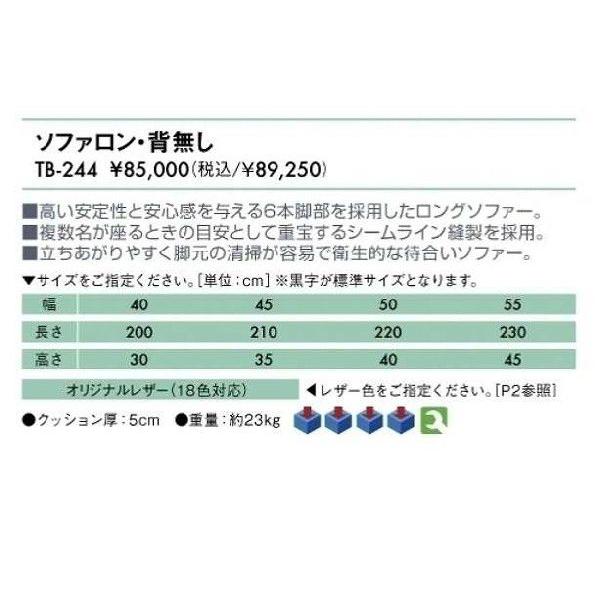 NkΏېi \t@EwȂ@iTB-244)  43OFF