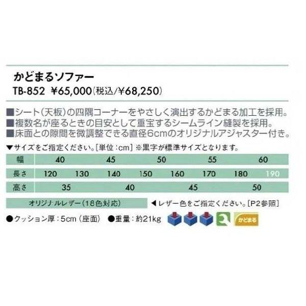 NkΏېi ǂ܂\t@[@iTB-852)  43OFF