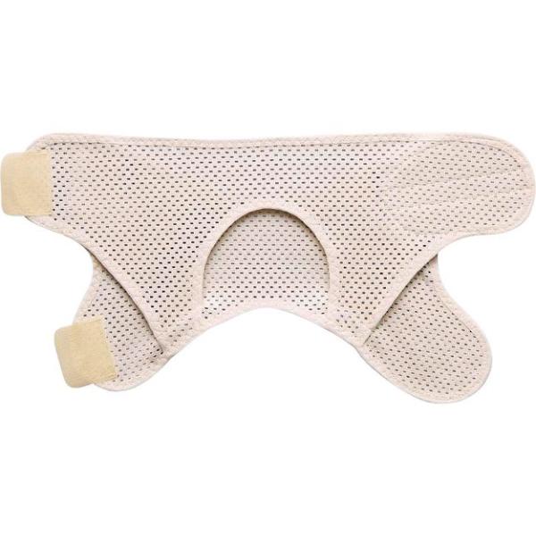 ���R�� �Ђ��p��w�Œ�� ���b�V�� �t���[