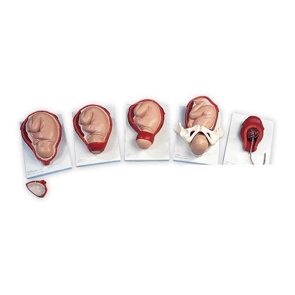 3B  l̖͌^ @؁EoY@؉ߒ5iKf@ivg392) I  ͌^