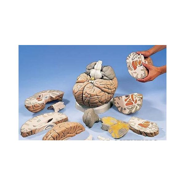 3B  l̖͌^ @]͌^ ]2.5{14fʊώ@f (vh409) I  ͌^